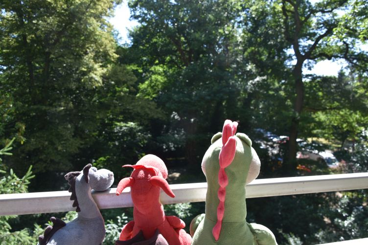 Saphira, Chilli und Bruce schauen vom Balkon