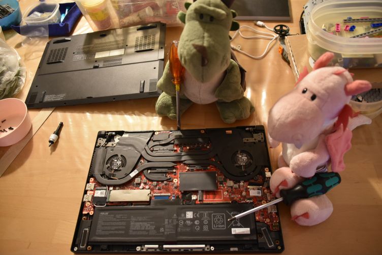 Fleur und Päffchen bauen die neue Festplatte in den Laptop