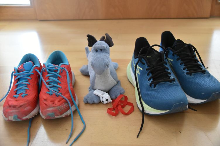 Saphira trillert die Menschen zum Sportprogramm