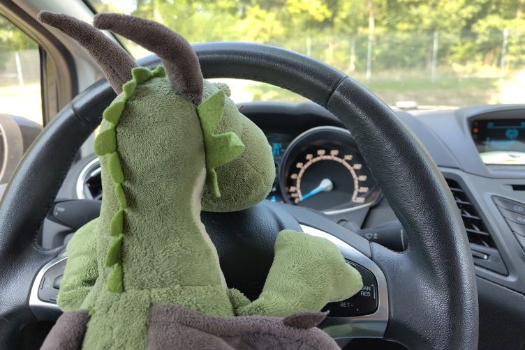 Päffchen am Steuer des Drachentaxis