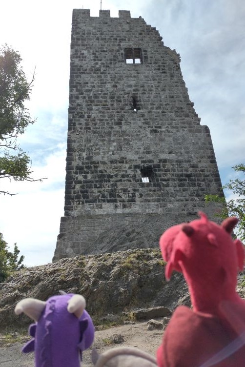 Burgruine Drachenfels