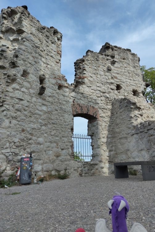 Burgruine Drachenfels