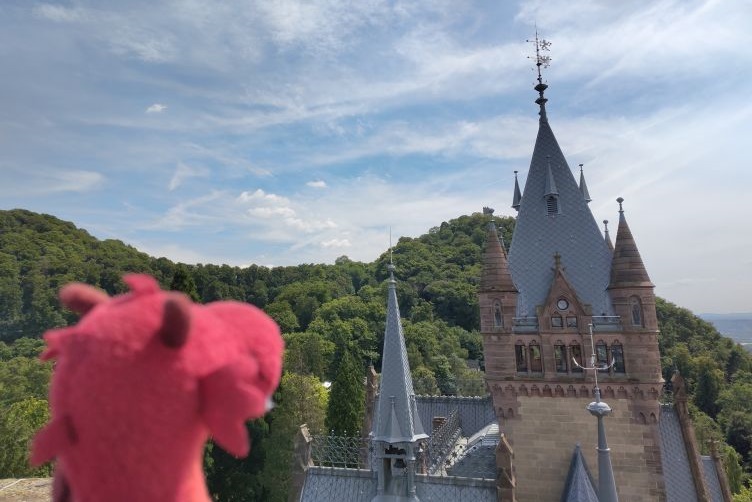 Auf dem Turm von Schloss Drachenburg