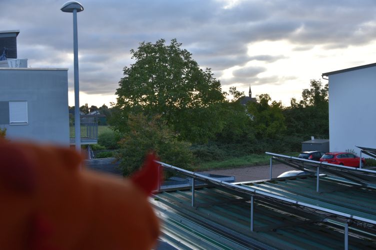 Soleil checkt das Wetter