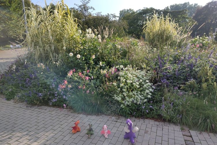 Suche nach der violettastischsten Blume