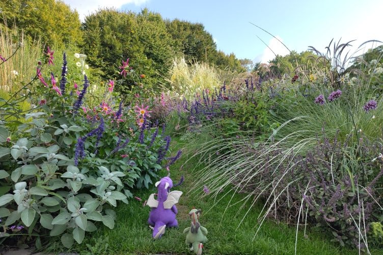 Suche nach der violettastischsten Blume