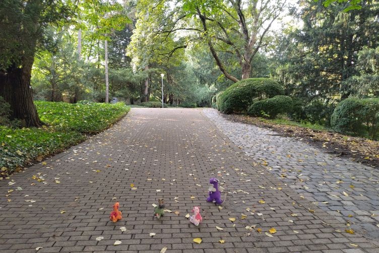 Drachis im Luisenpark unterwegs