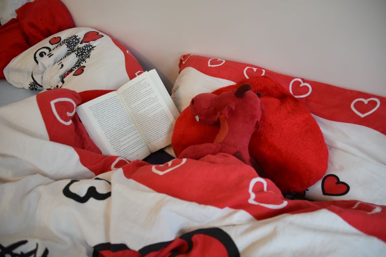 Ruby liest im Bett