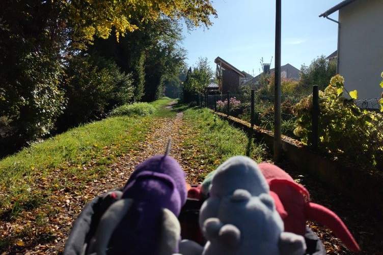 Drachis auf der Radtour