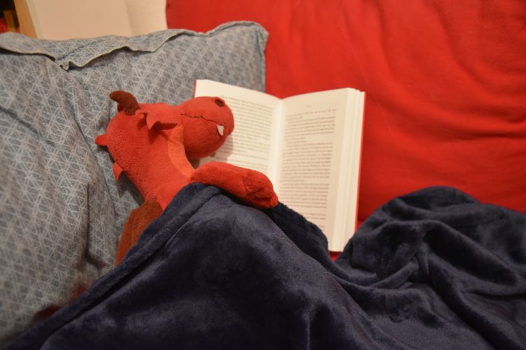 Lese-Kuschelstunde auf der Couch