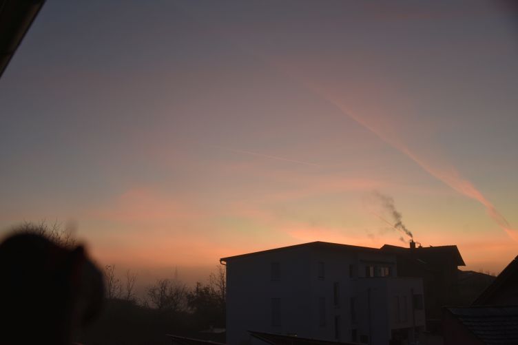 Dracon guckt vom Balkon