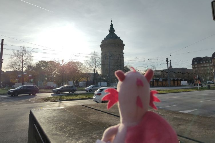 Bella in Mannheim am Wasserturm