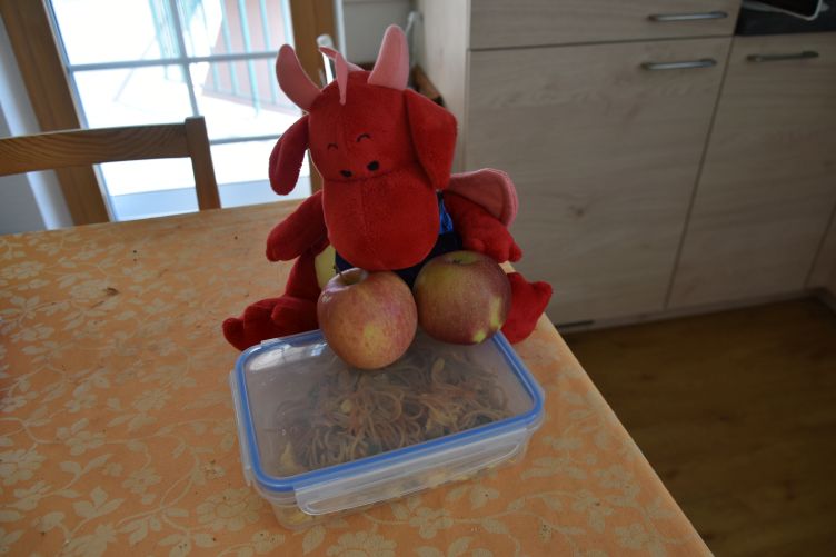 Rosa richtet das Essen für Steffen