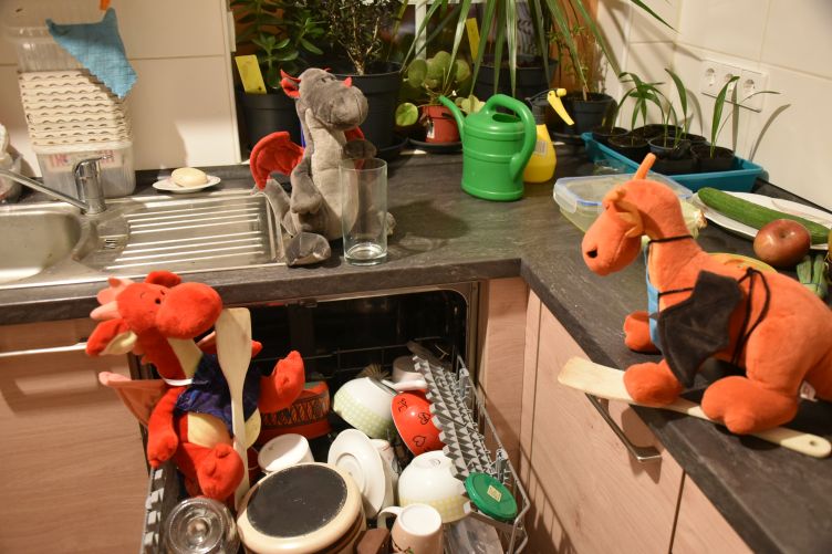 Dracon, Eldur und Rosa räumen die Spülmaschine aus