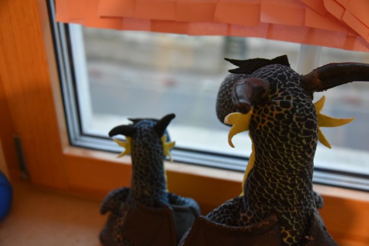 Kiwii und Skadi halten Ausschau nach der Kölner Plüschifamilie