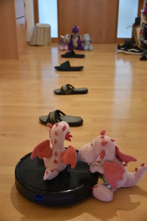 Slalomrennen mit dem Staubsaugerroboter