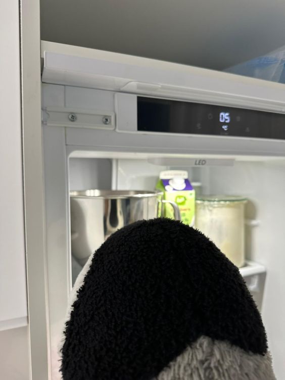 Teig ruht im Kühlschrank