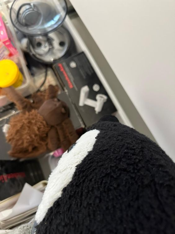 Minnie und Lumi suchen den Fleischwolf