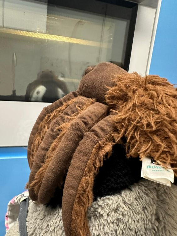 Lumi und Minnie warten vor dem Backofen