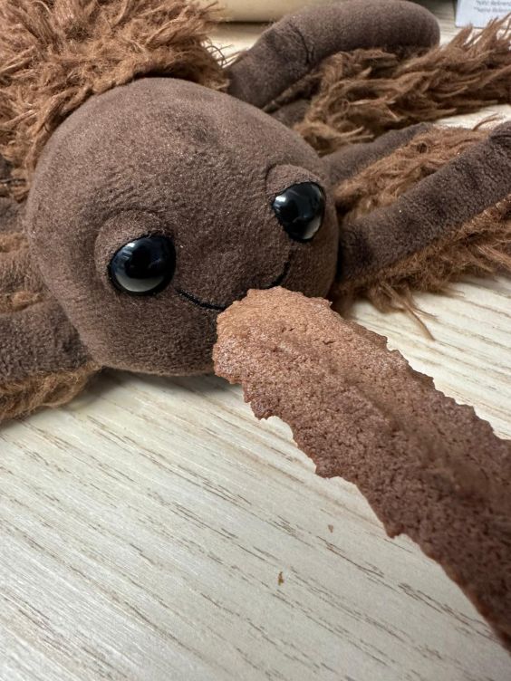 Minnie knabbert ein Spinnenbein