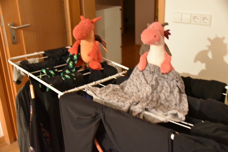 Chilli und Runa hängen Wäsche auf