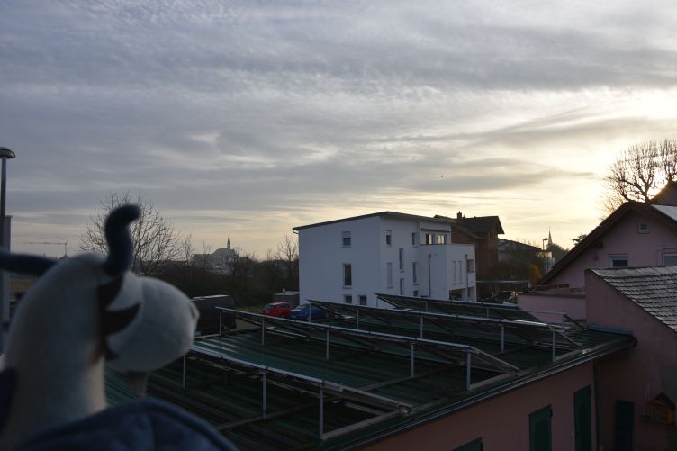 Sky checkt das Wetter