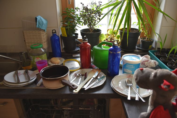 Dracon beguckt das schmutzige Geschirr auf der Arbeitsplatte