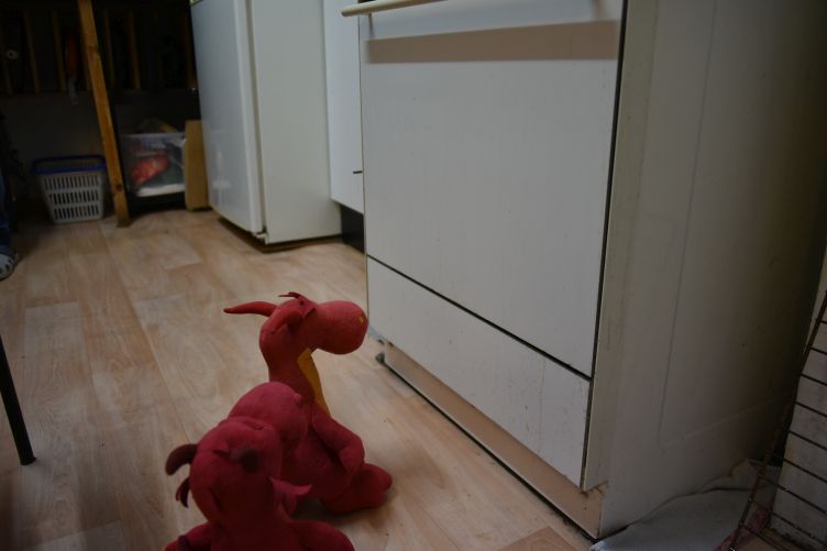 Chilli will den Backofen anfeuern