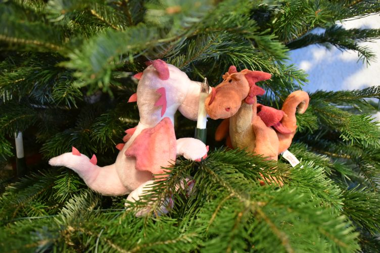 Fleur und Paffina platzieren die Lichterketten