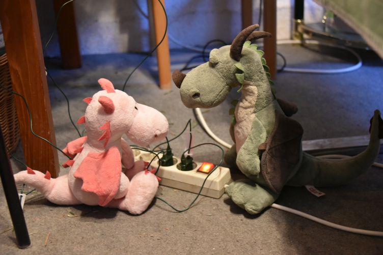 Fleur und Päffchen testen die Lichterketten