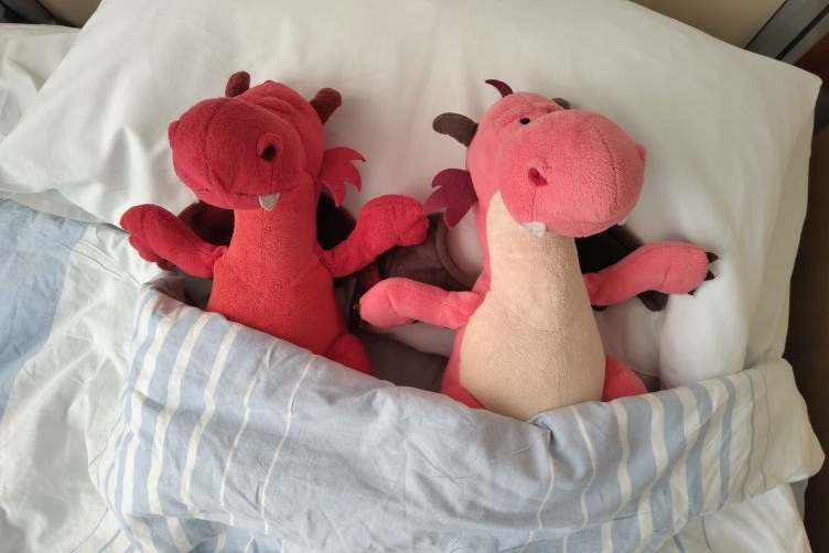 Ruby und Runa im Krankenhausbett