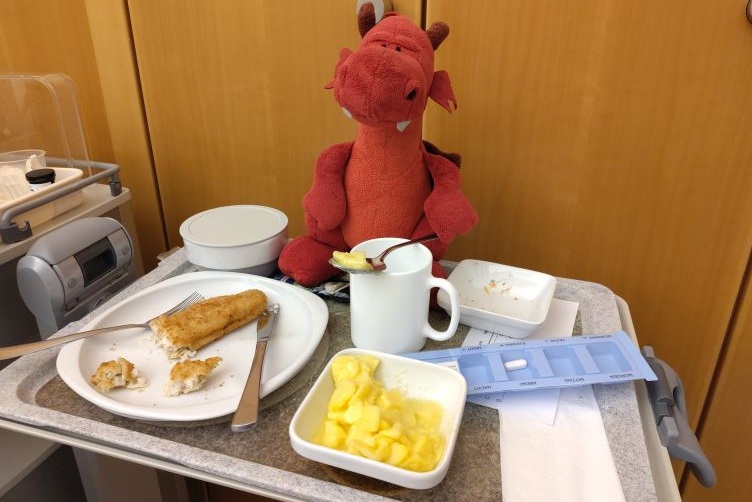 Ruby mit Krankenhausessen