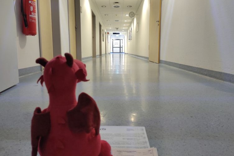 Ruby im Krankenhausflur