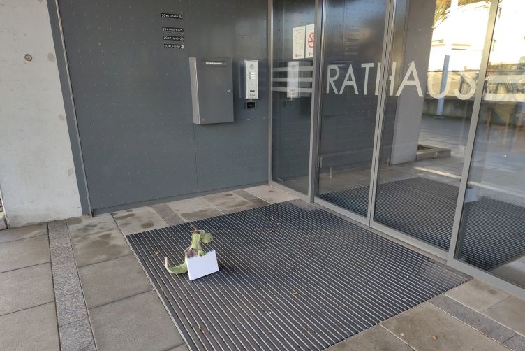 Päffchen am Rathaus