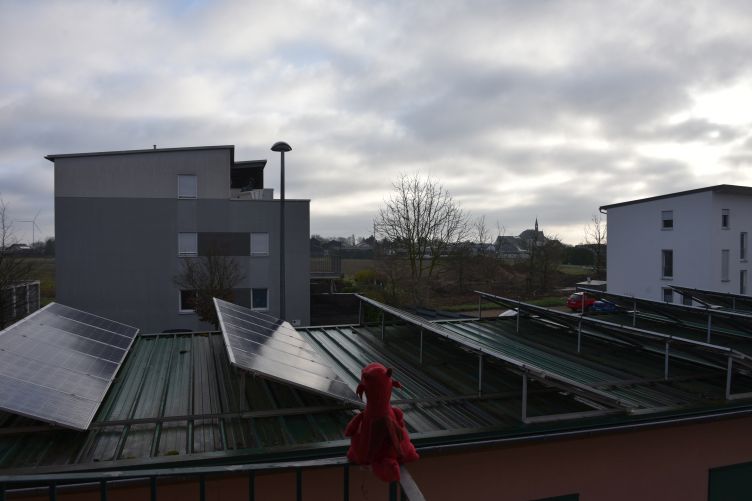 Ruby prüft das Wetter