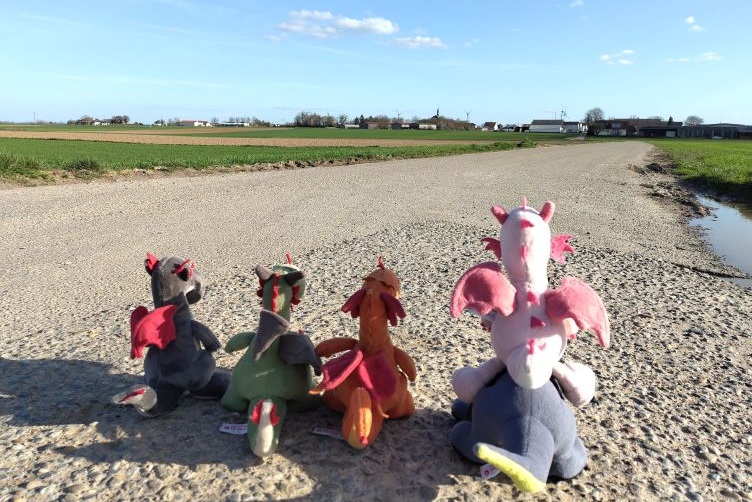 Spaziergang durch die Felder