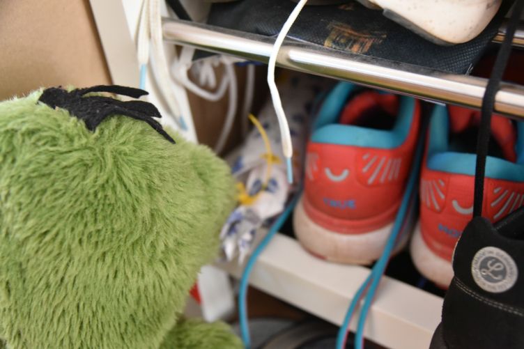 Fauchi findet ein Geschenk im Schuhregal