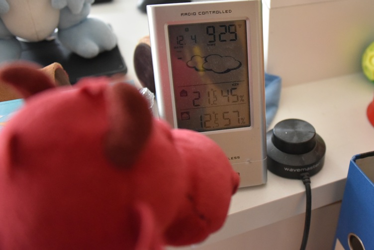 Ruby guckt auf die Wetterstation