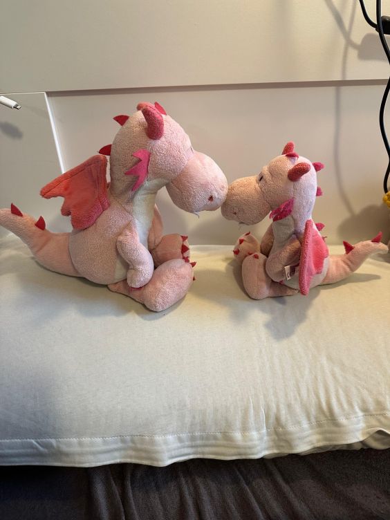 Fleur und Bella sitzen Nase an Nase