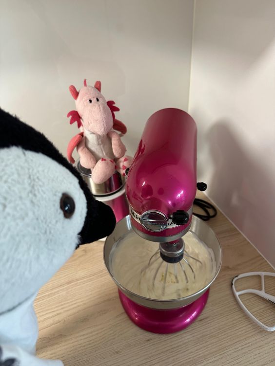 Bella und Lumi schauen der Küchenmaschine beim Rühren zu