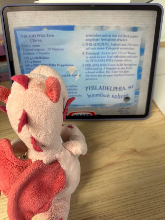 Bella studiert das Rezept