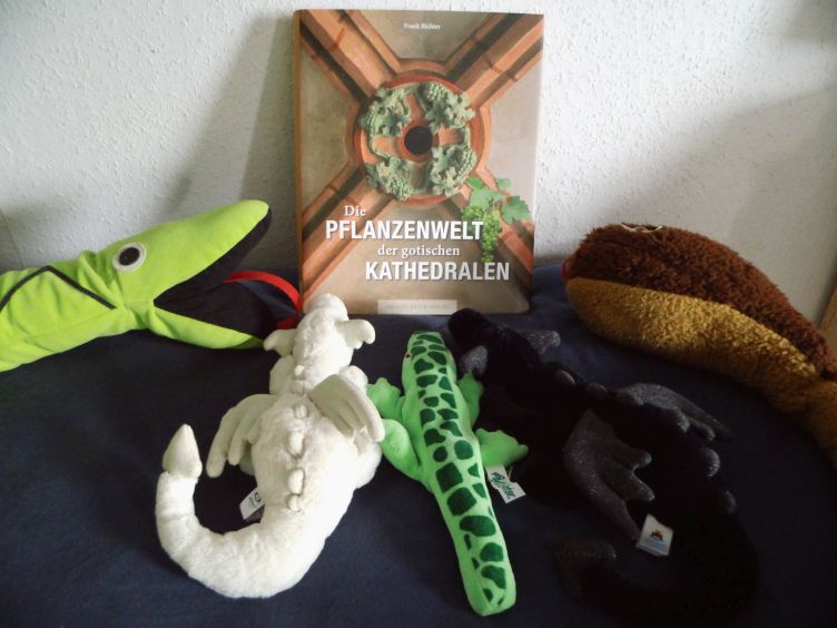 Buchvorstellung von Jonathan