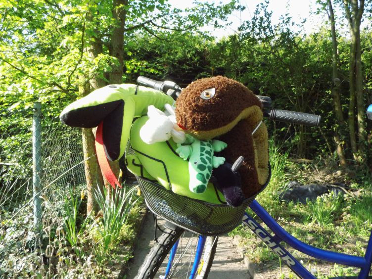 Bookaholics im Fahrradkorb