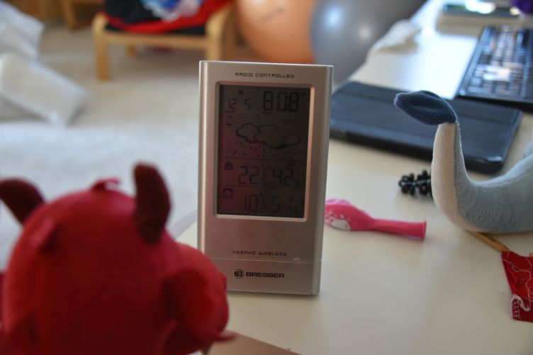 Ruby guckt auf die Wetterstation