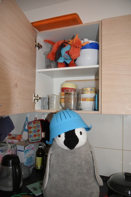 Eldur hat Lumi eine Siebschüssel auf den Kopf fallen lassen