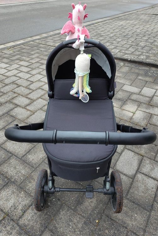 Bella auf dem Kinderwagen