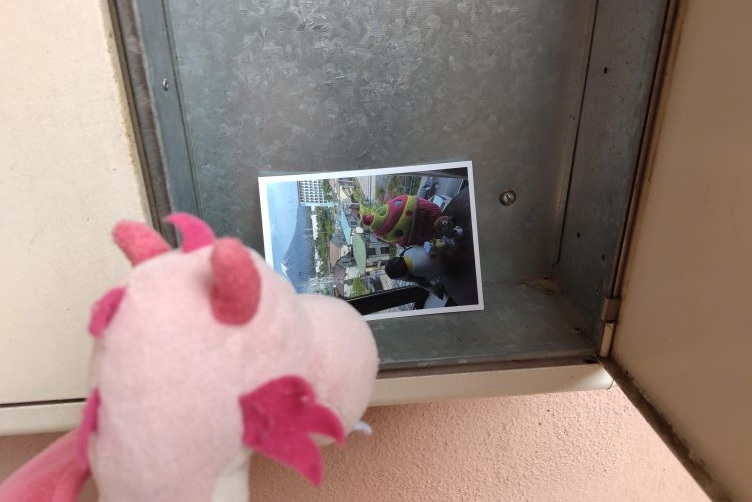 Bella schaut in den Briefkasten