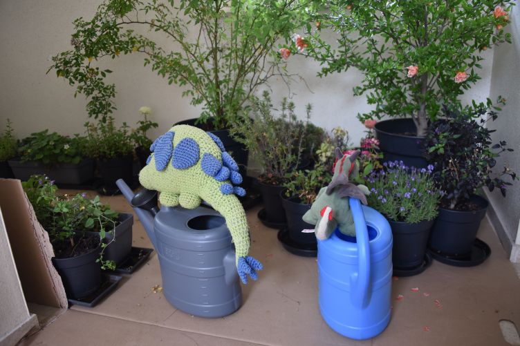 Flora und Tapsor kümmern sich um die Pflanzen