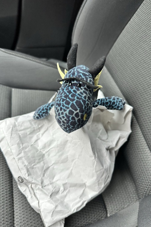 Skadi krabbelt aus dem Paket