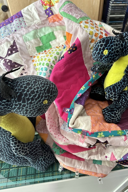Kiwii und Skadi mit dem riesigen Quilt